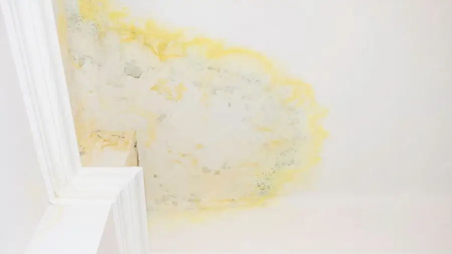 Water Stained Ceiling