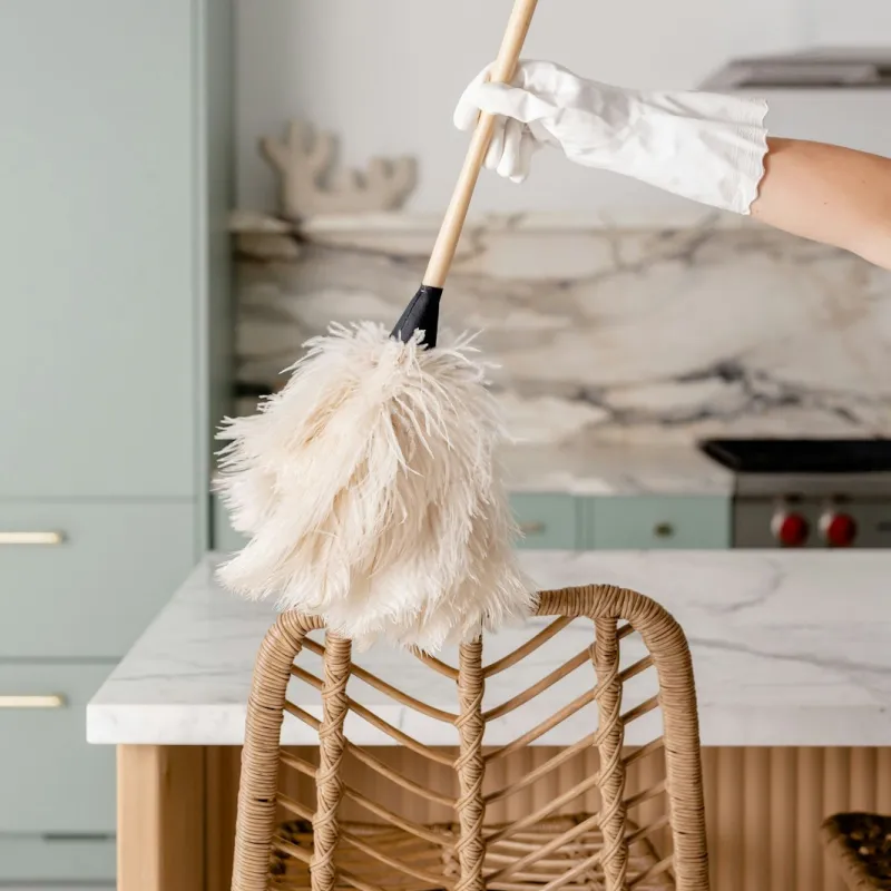 rental cleaning after