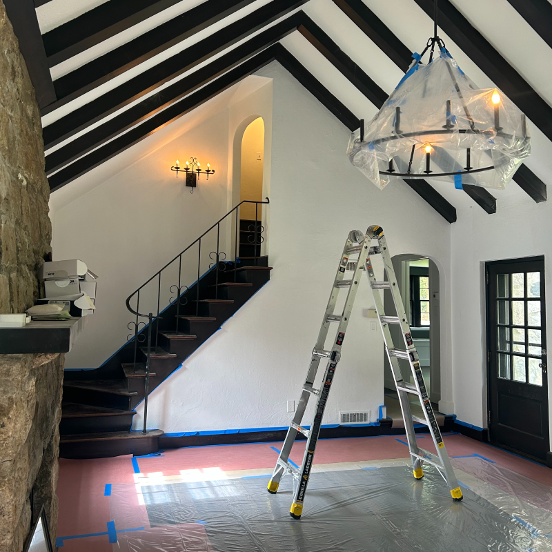 HoP Our Story Picture